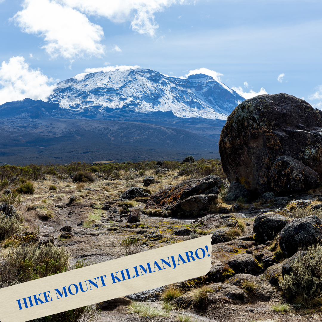 Mount Kilimanjaro Hike: Travel Info Session