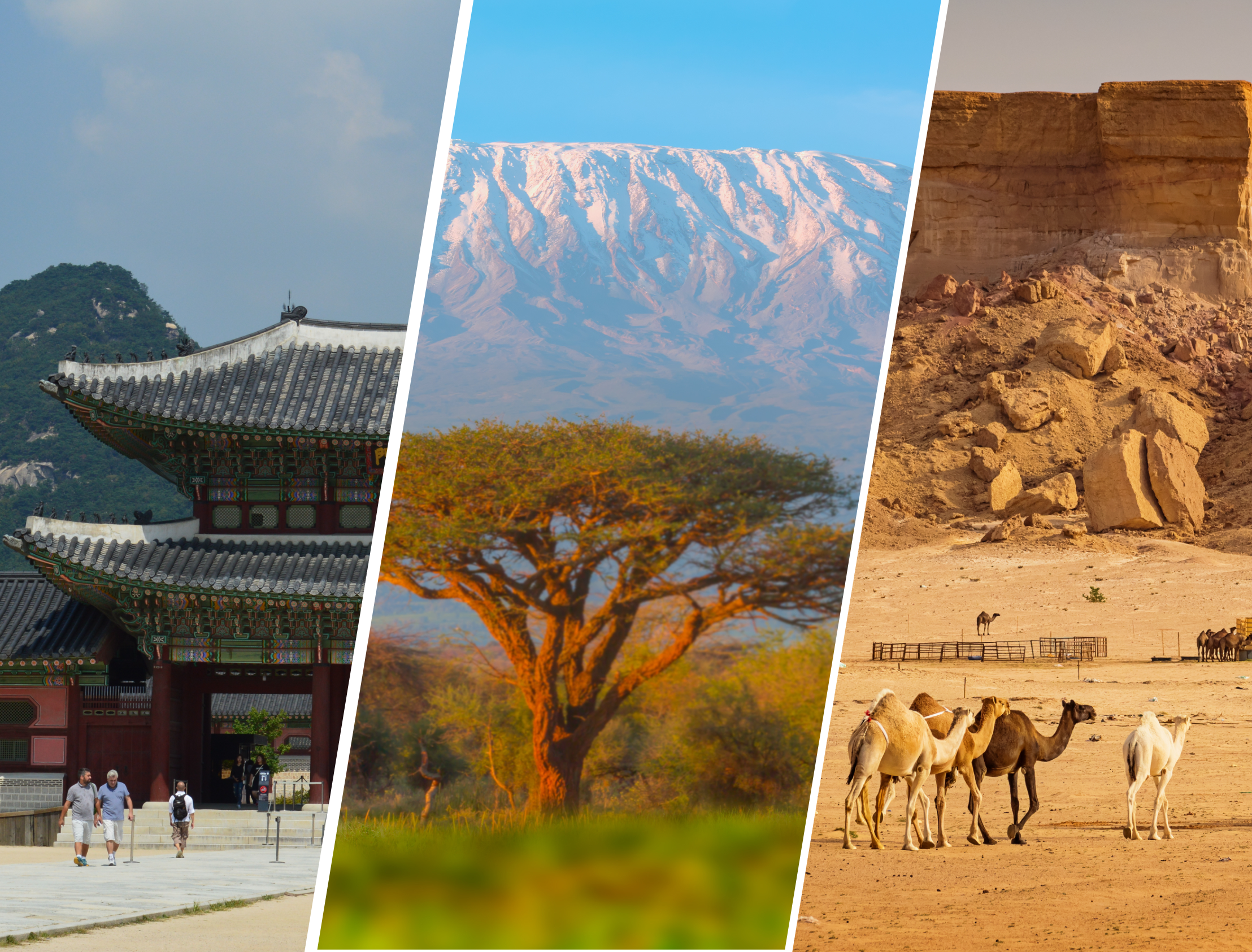 Around the World in 60 Minutes