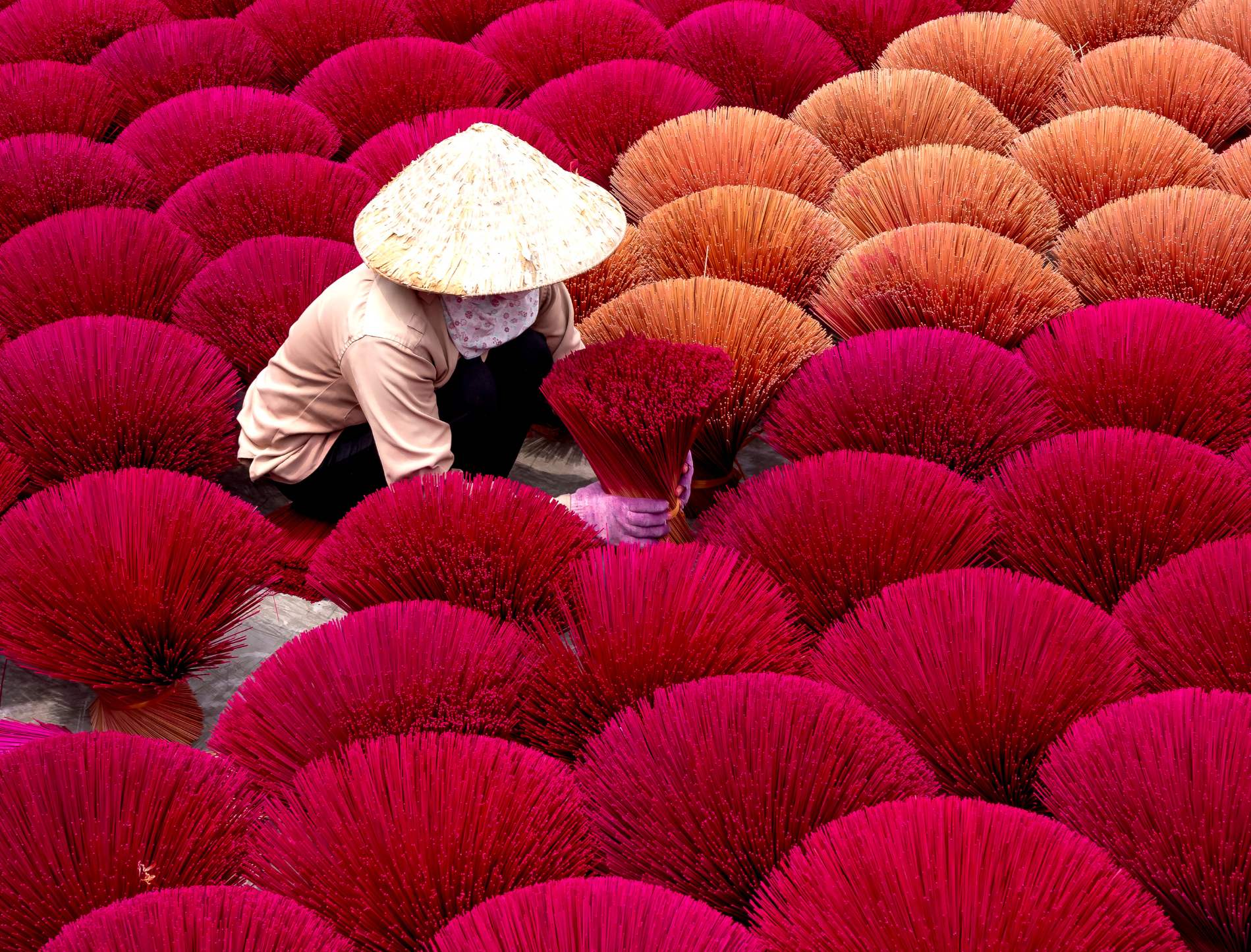 Vietnam & Cambodia